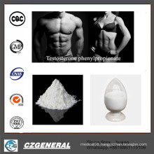 Factory USP Steroid Testosterone Phenylpropionate 99% Purity CAS: 58-20-8